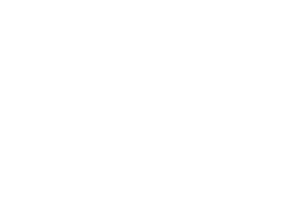 SystemX